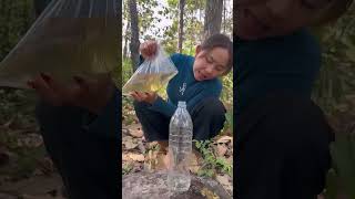 Survival Skills: easy methood saving water transfer to bottle#bushcraft#water#smart