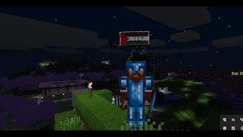 Nico World Server got a Palestinian flag