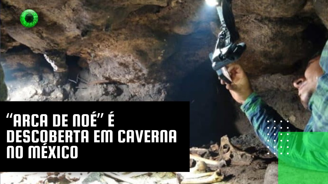 “Arca de Noé” é descoberta em caverna no México