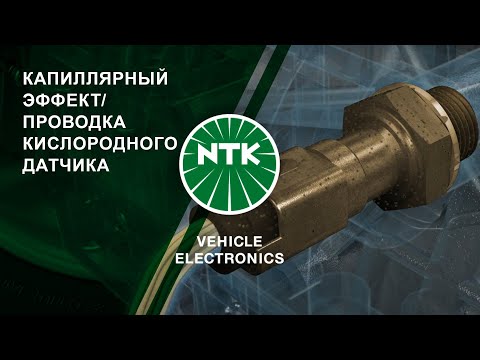 Проводка датчика кислорода