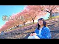 京夏 「桃色の風」Music Video