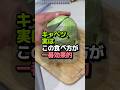キャベツはこの食べ方が一番効果的！🥗 胃と腸を守る3つの方法
