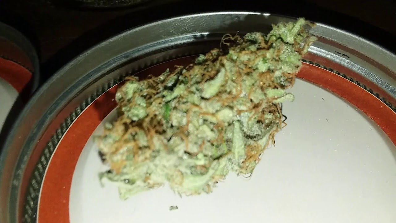 260 total grams harvested!! Big nugs and numbers from the led grown cannabis garden!!