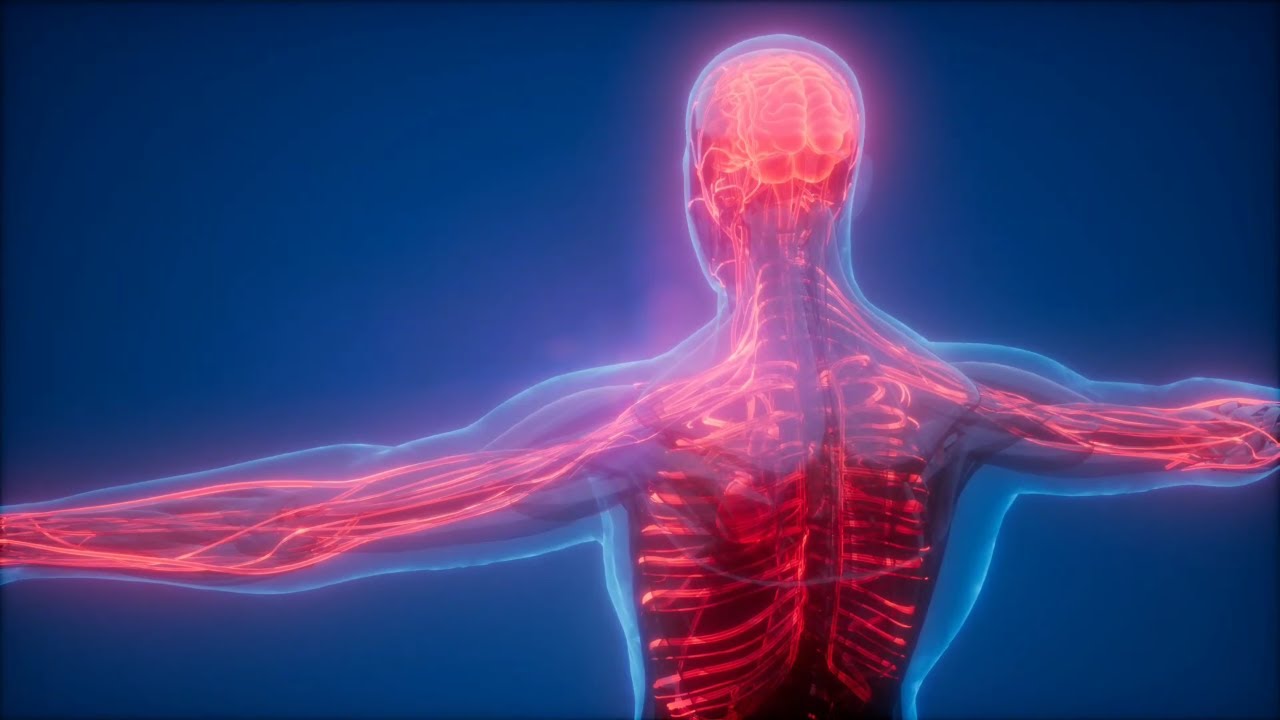 Insomnia Relief ★ Enter into Deep Sleep ★ Pure Unadulterated Delta Waves Frequency ★ Repair Yourself