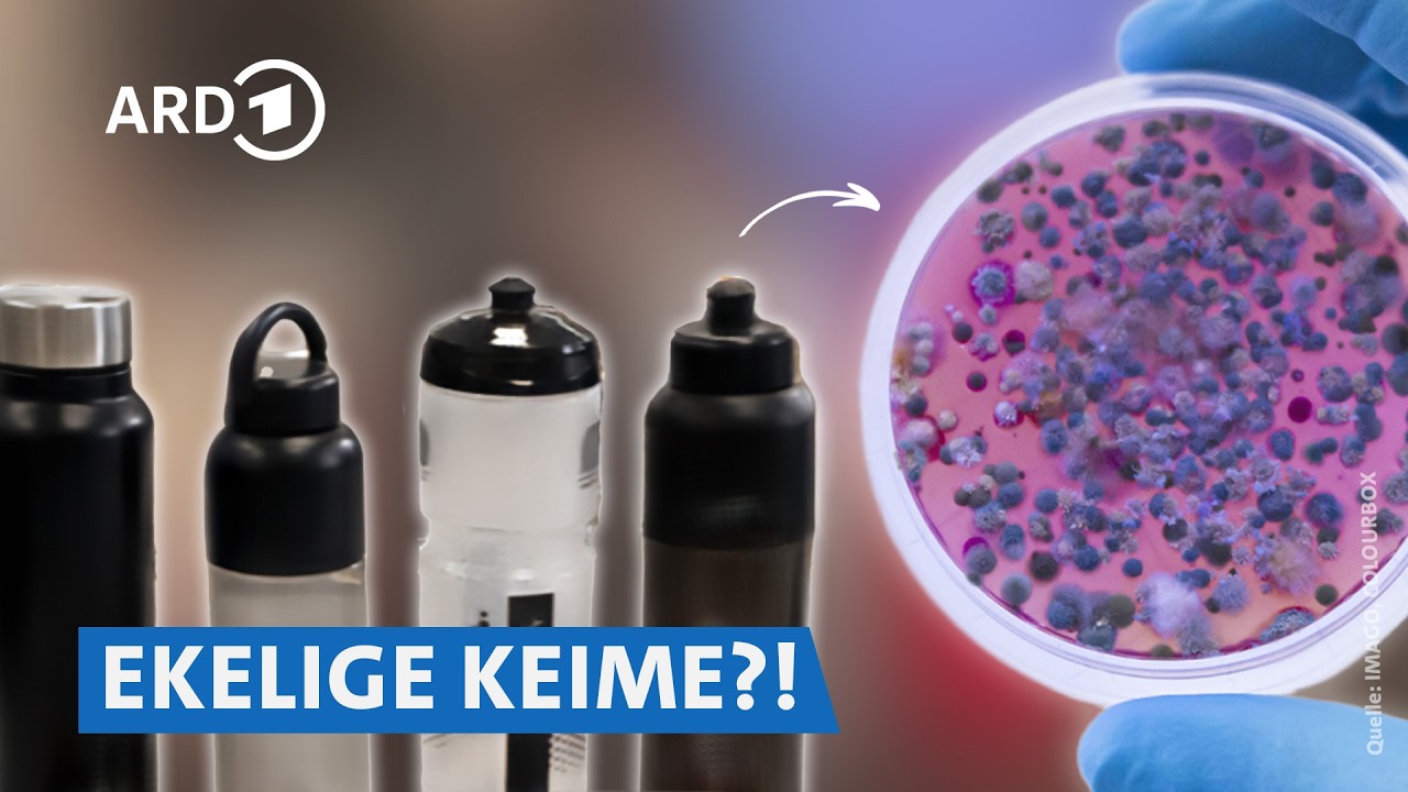 Lunchboxen & Trinkflaschen im Check: Glas, Edelstahl oder Plastik? 🍱 | Preiswert, nützlich, gut? SWR