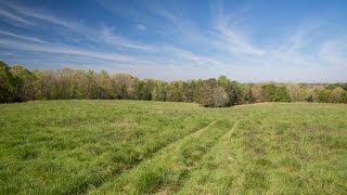 118 Acres Abbeville County, S.C.