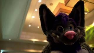 Anthro New England 2026