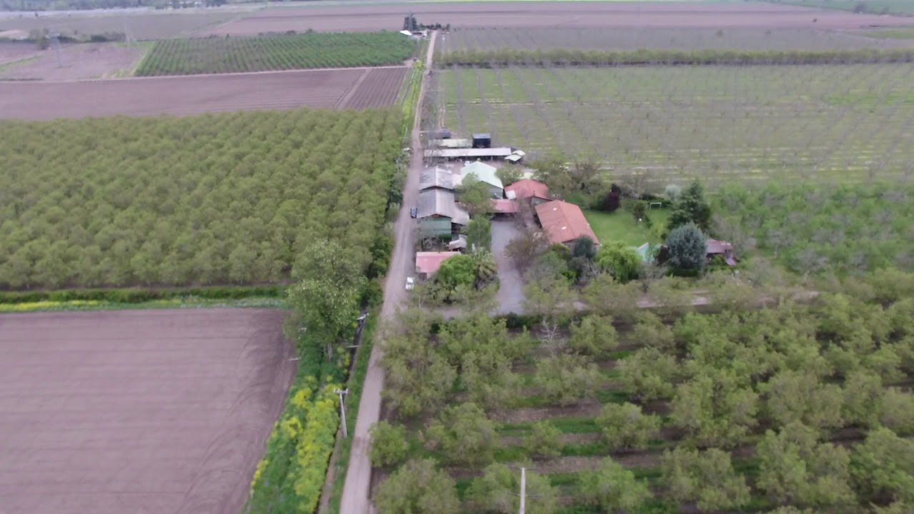 BUIN, REGIÓN METROPOLITANA: EN VENTA FUNDO LOS TILOS