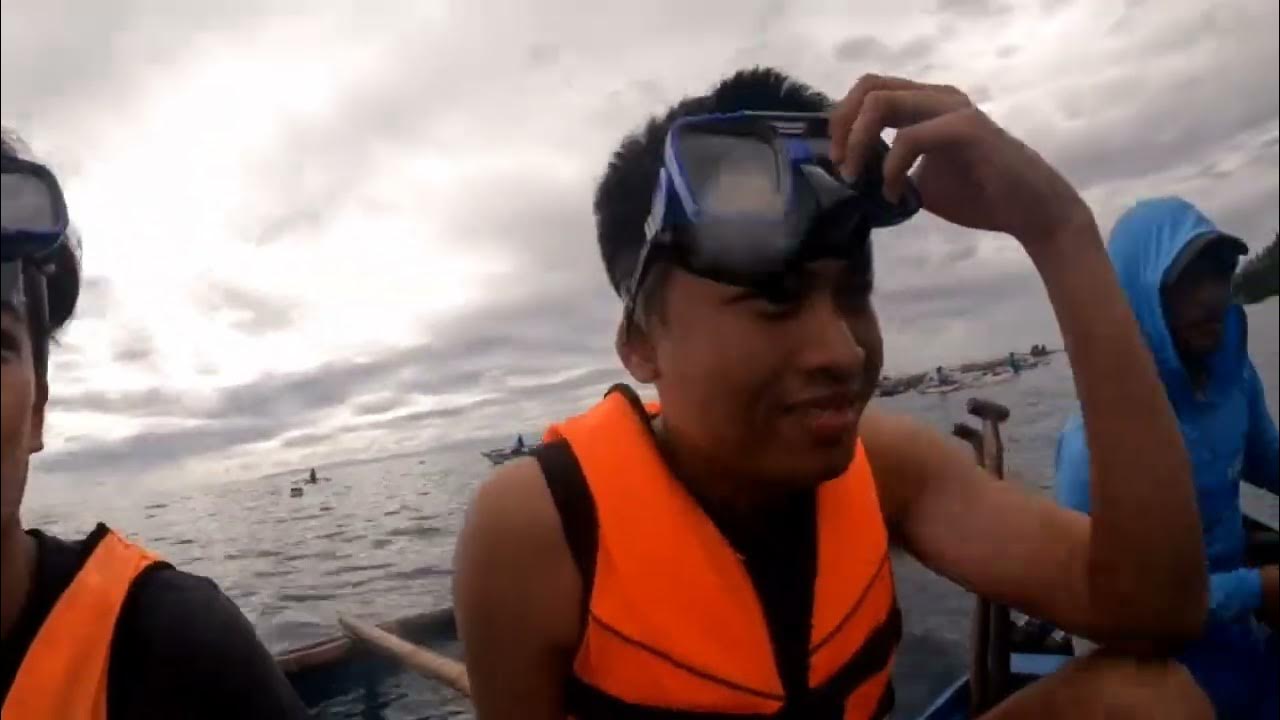 Traveling to Cebu Philippines Oslob's Pride Oslob's Whale Shark