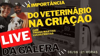 Live da Galera: Verdan Responde com.. Thiago Martins e Lucas Freitas