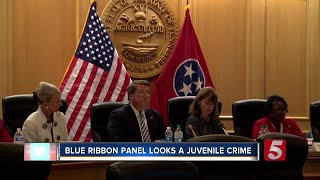 Blue Ribbon Panel Looks At State's Juvenile Justice System, Juvenile Crime