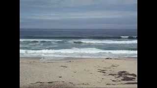 Monterey, California: the wharfs, beaches, historic buildings and Cannery Row