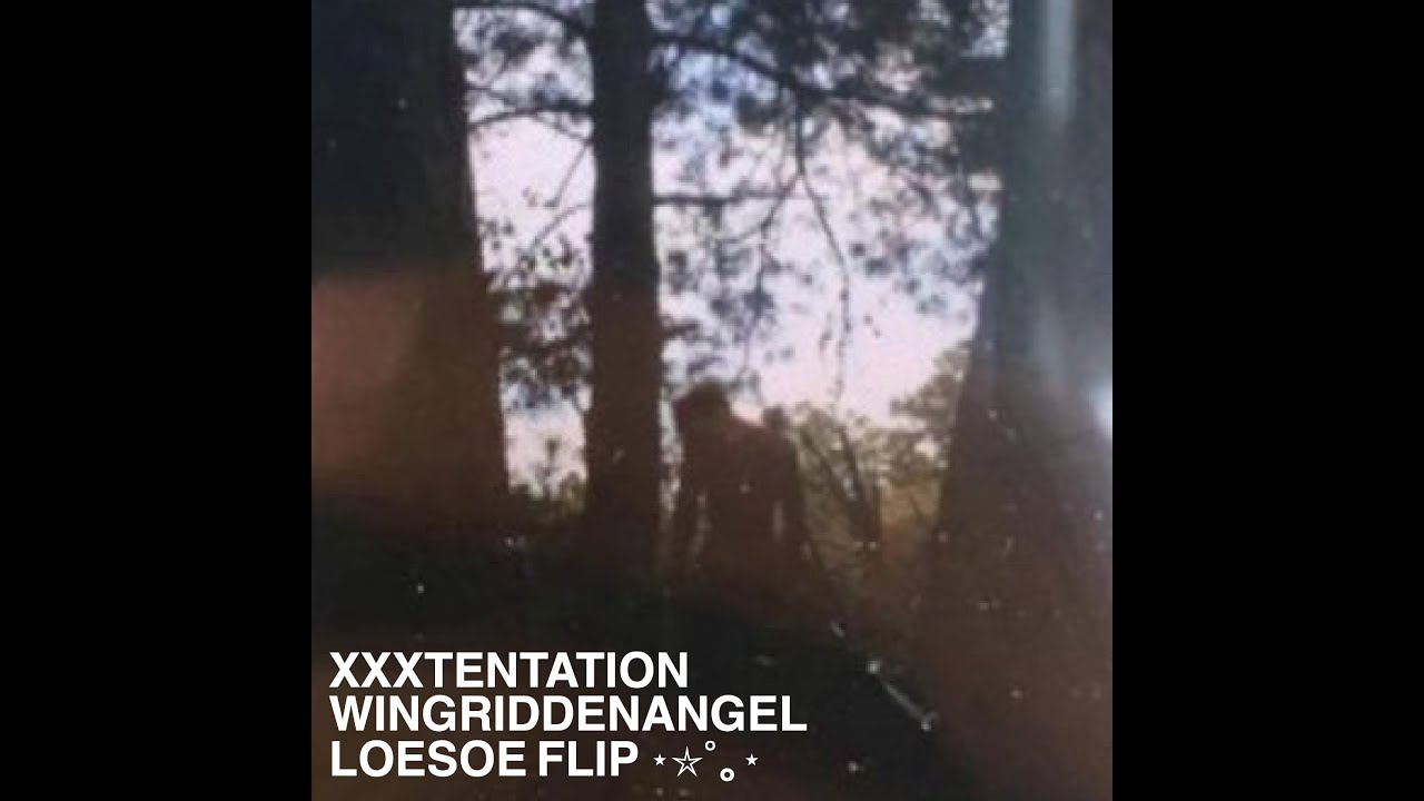 WingRiddenAngels - XXXTentation 𖤐 Loesoe Flip