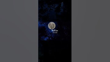 اكتب شئ تؤجرعليه💬 - تلاوة محمد هشام