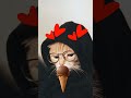 cute #cats #favorite #icecreamflavors