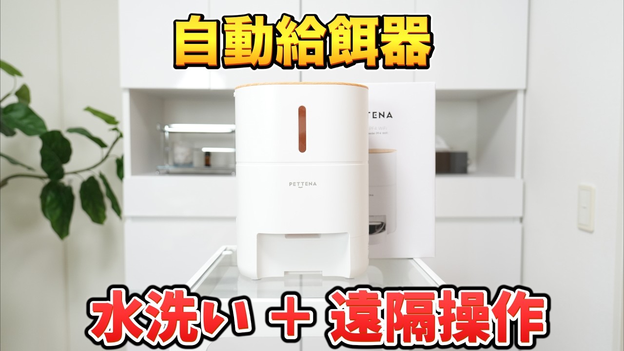 Peace of mind while away] I tried the PETTENA automatic pet feeder