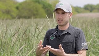 Cover Crop Case Study - Episode 2: Organic Matter