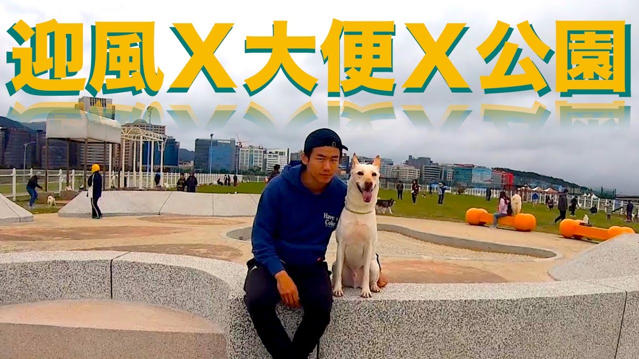 今天帶大家去迎風狗公園跑跑 Youtube 今天帶大家去迎風狗公園跑跑 Youtube
