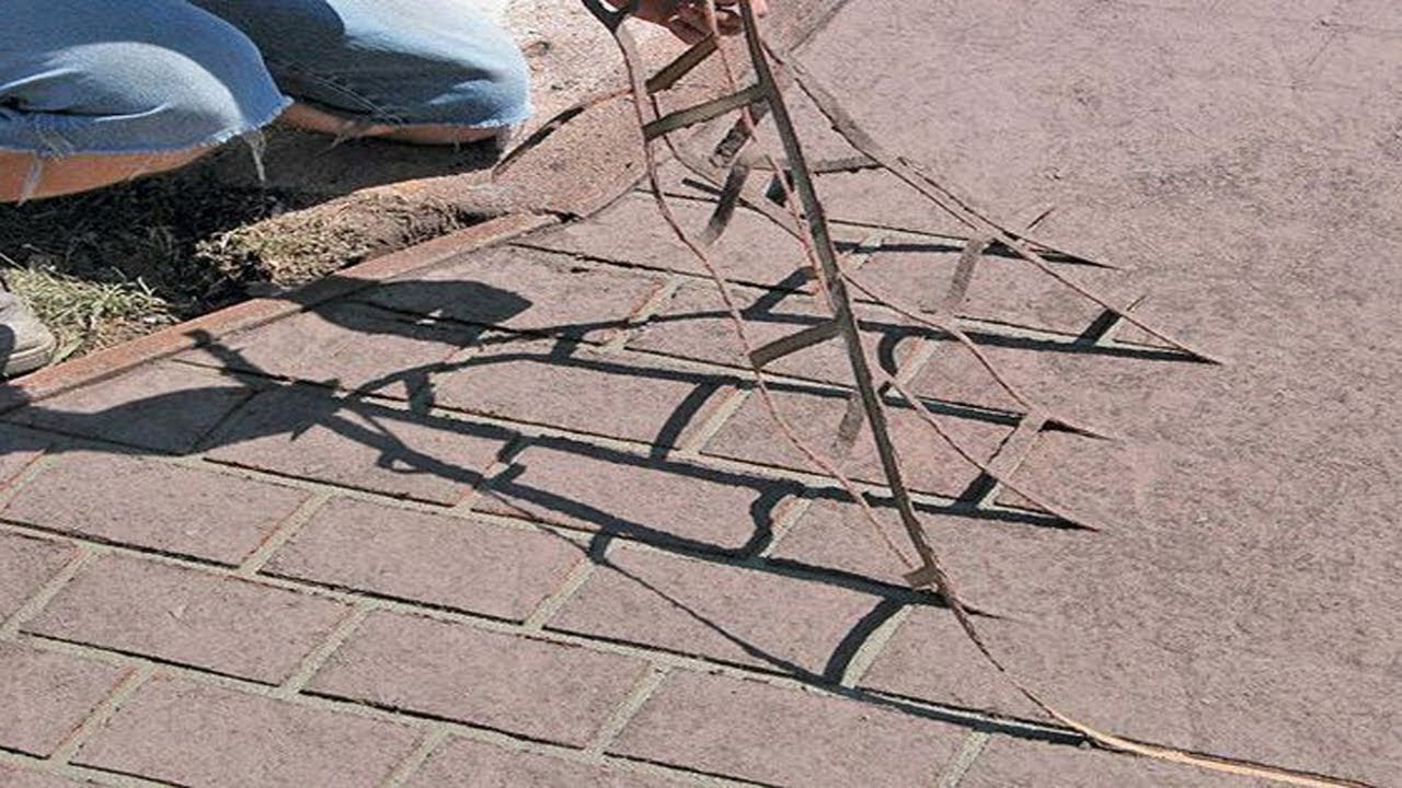 Из чего можно сделать трафарет для бетона