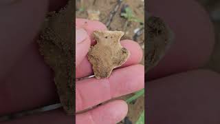 Snyder Base From Muddy Riverbank In Missouri Ozarks