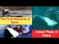 The Terrifying Killer Whale - Tilikum’s Final Victim Dawn