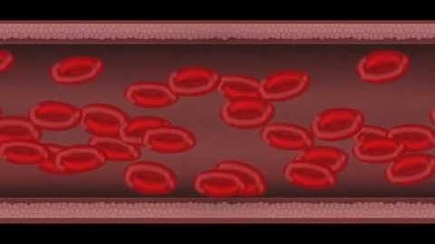 Von Willebrand factor vWF