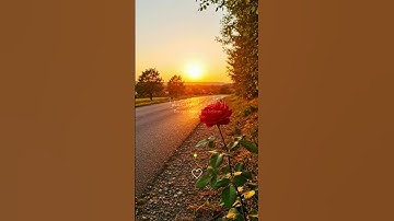 #القرآن_الكريم ،سورة العصر، القارئ ماهر المعيقلي