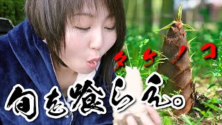 新鮮なタケノコ限定のアク抜きを習得、30Kgの九州タケノコ届いた。