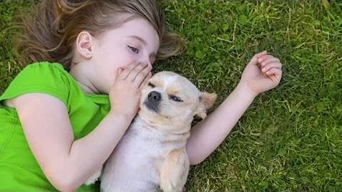 ¿Cómo se dice te quiero en perro?