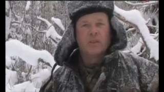 Охота на лося зимой Охота на лося зимой