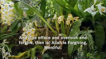 Surat At-Taghābun (The Mutual Disillusion) - سورة التغابن