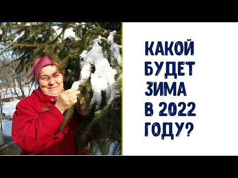 Video: Россияда кандай эски үйлөр териге үшүк берет