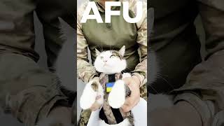 AFU Warrior teaches his cat flying #ukraine  #afu  #nafo  #zsu