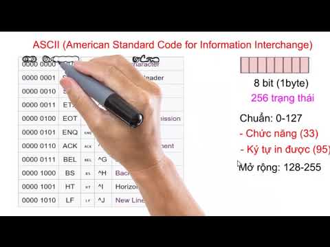 Mã Ascii Của Bảng Chữ Cái - Visual basic | VB Bài 5 (P7): Các kiểu dữ liệu thường dùng trong điều khiển, bảng mã ASCII