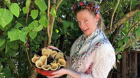 Scandinavian Baking - Krumkake with Lillian Vaugha...