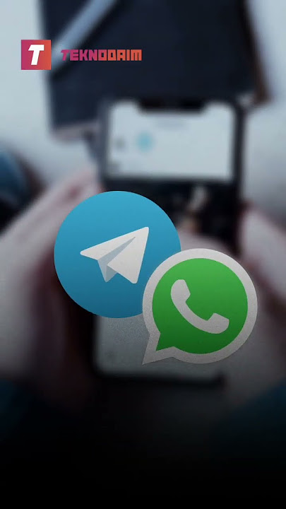 Aplikasi Pengganti WhatsApp dan Telegram #teknologi #smartphone #tech #whatsapp #telegram #fakta