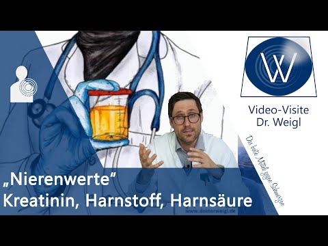 Erhöhte Nierenwerte in Blut & Urin 🔎 Kreatinin, Harnsäure, Harnstoff & Cystatin C verbessern