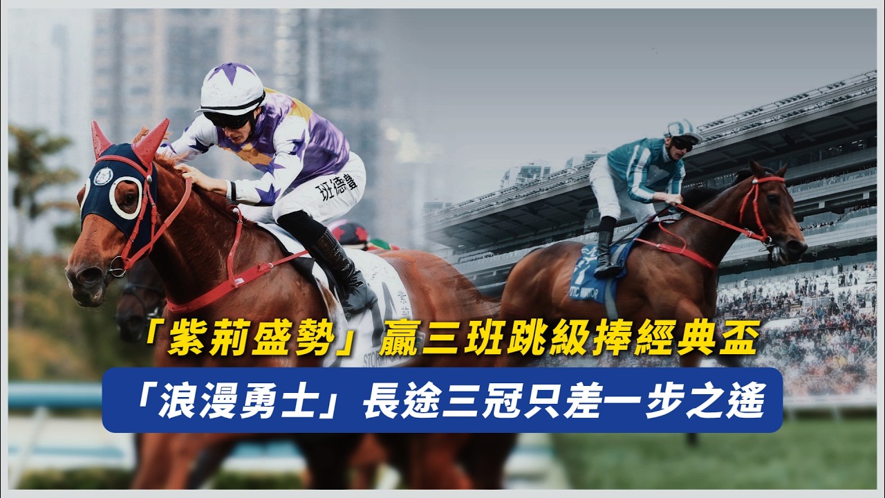 「紫荊盛勢」馬王上身！贏完三班跳級捧走經典盃似足「雄心威龍」｜「浪漫勇士」衝擊三冠王只差一步｜何澤堯「小鳥天堂」慢閘大熱倒灶｜#賽馬物語
