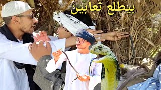 عم شوقي نصاب أنه بيطلع ثعابين بطريقة لا تخطر علي بال احد/ضحك من ش خلصان🤣