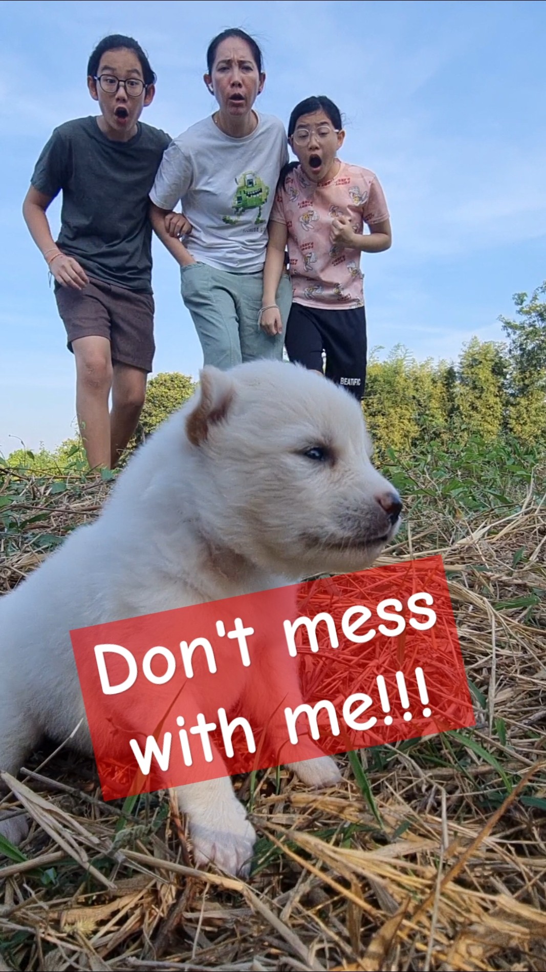 Lost Puppy? and Funny Kids‼️? Plot Twist ? | JJaiPan #Shorts #funnydog