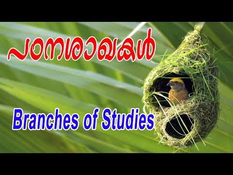 Branches of Studies | പഠനശാഖകൾ | Kerala PSC Exam | arivinte angadi