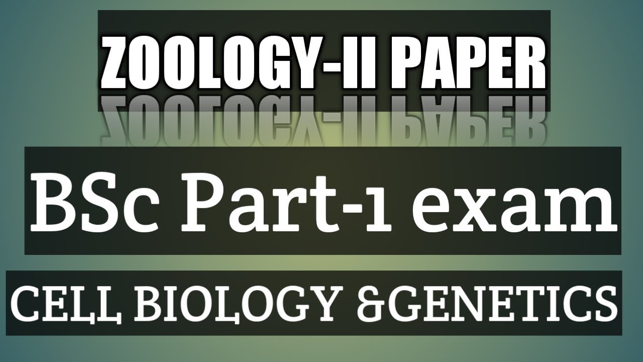 Bsc 3rd Year Zoology 1st Paper Zoology 2nd paper bsc 1st year 2019 - YouTube