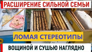 Расширение Сильной Семьи Вощиной И Сушью Наглядно. Хейтерам Смотреть Обязательно.