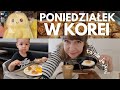 Poniedziałek w Korei - szałowy deser, koreański bufet sushi i zakupy - DAILY VLOGuś