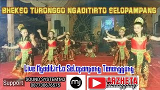 BHEKSO TURONGGO NGADITIRTO LIVE NGADITIRTO SELOPAMPANG