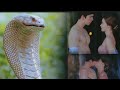 Capture de la vidéo Snake Queen And Royal Prince 'Love Story#Villwannarot#Norraphat#One31Drama#Yayaurassaya #Bts