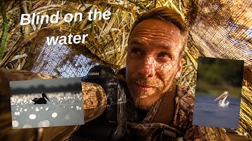 Pelican and Bird Photography in my Homemade Floating Blind. Learning important lessons in the blind.