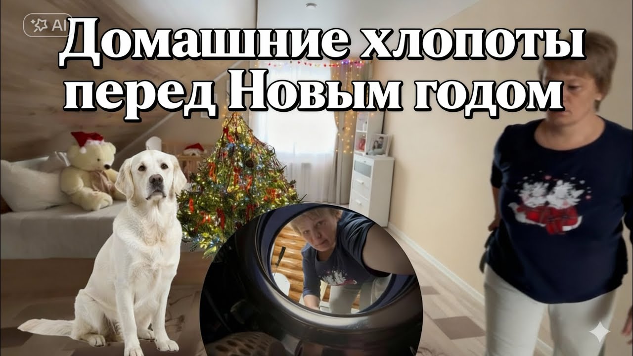 Деревенские будни перед Новым годом!уборка дома и наша елочка!