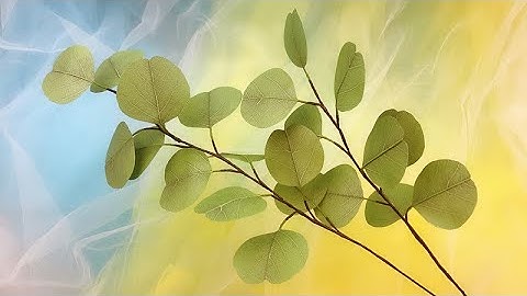 ABC TV | How To Make Silver Dollar Eucalyptus From Paper #1 - Craft Tutorial