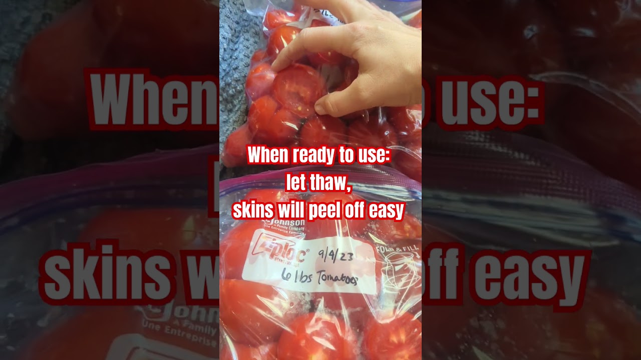 Easy tomato preservation! Save money , grow food 